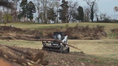 Battle brews over Rock Creek Park Golf Course tree removal