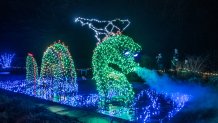 Garden of Lights at Brookside Gardens December 2023.  Photos by Tony Ventouris.