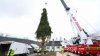 Rockefeller Center Christmas Tree arrives in NYC for the holiday season