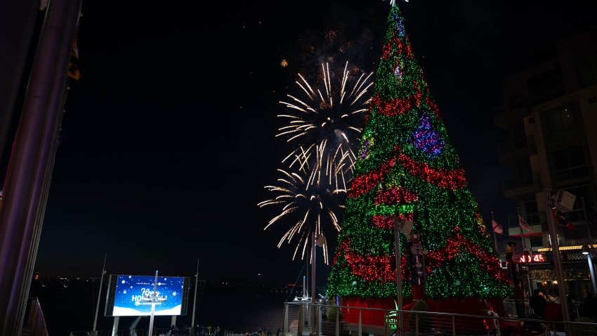 National Harbor will host its holiday tree lighting on Saturday, Nov. 9, 2024.