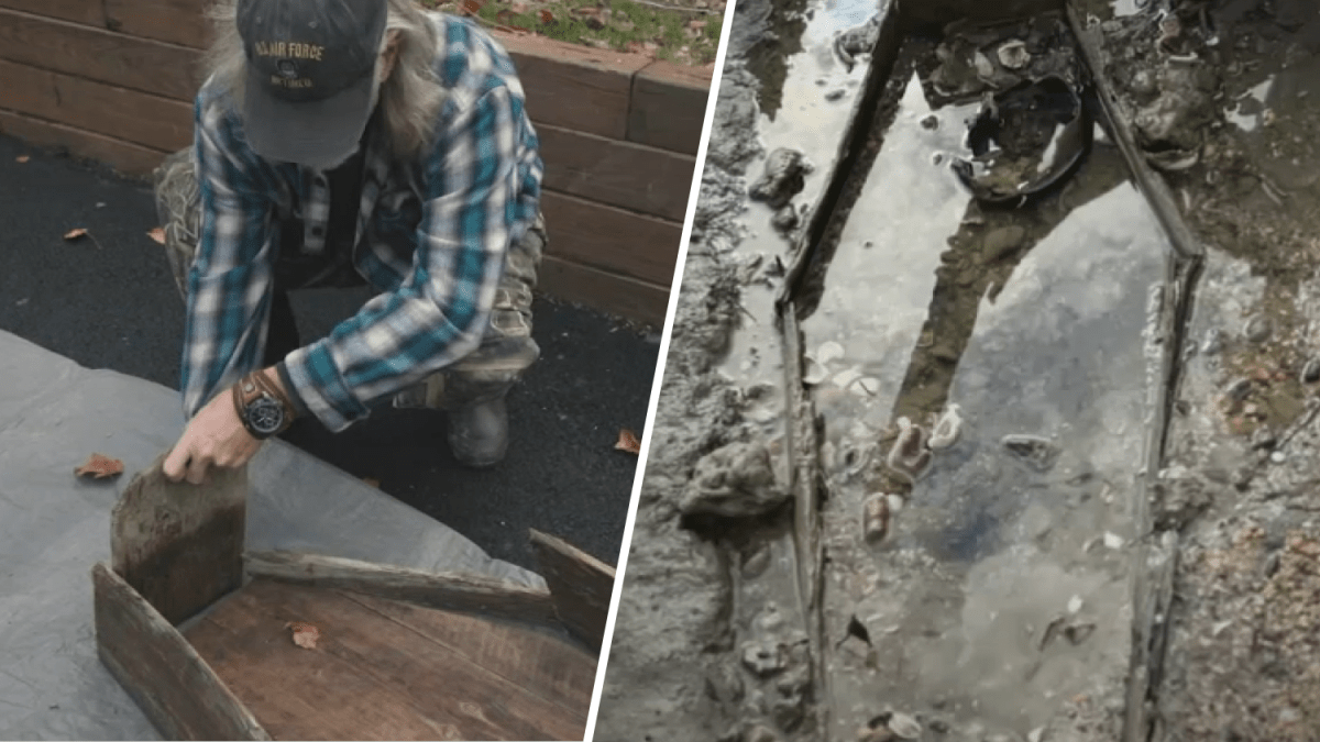 George Oliver frequently walks the shores near his home looking for fossils, but what he came across recently during a low tide was a surprise.