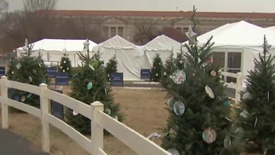 What you'll see if you visit the National Christmas Tree