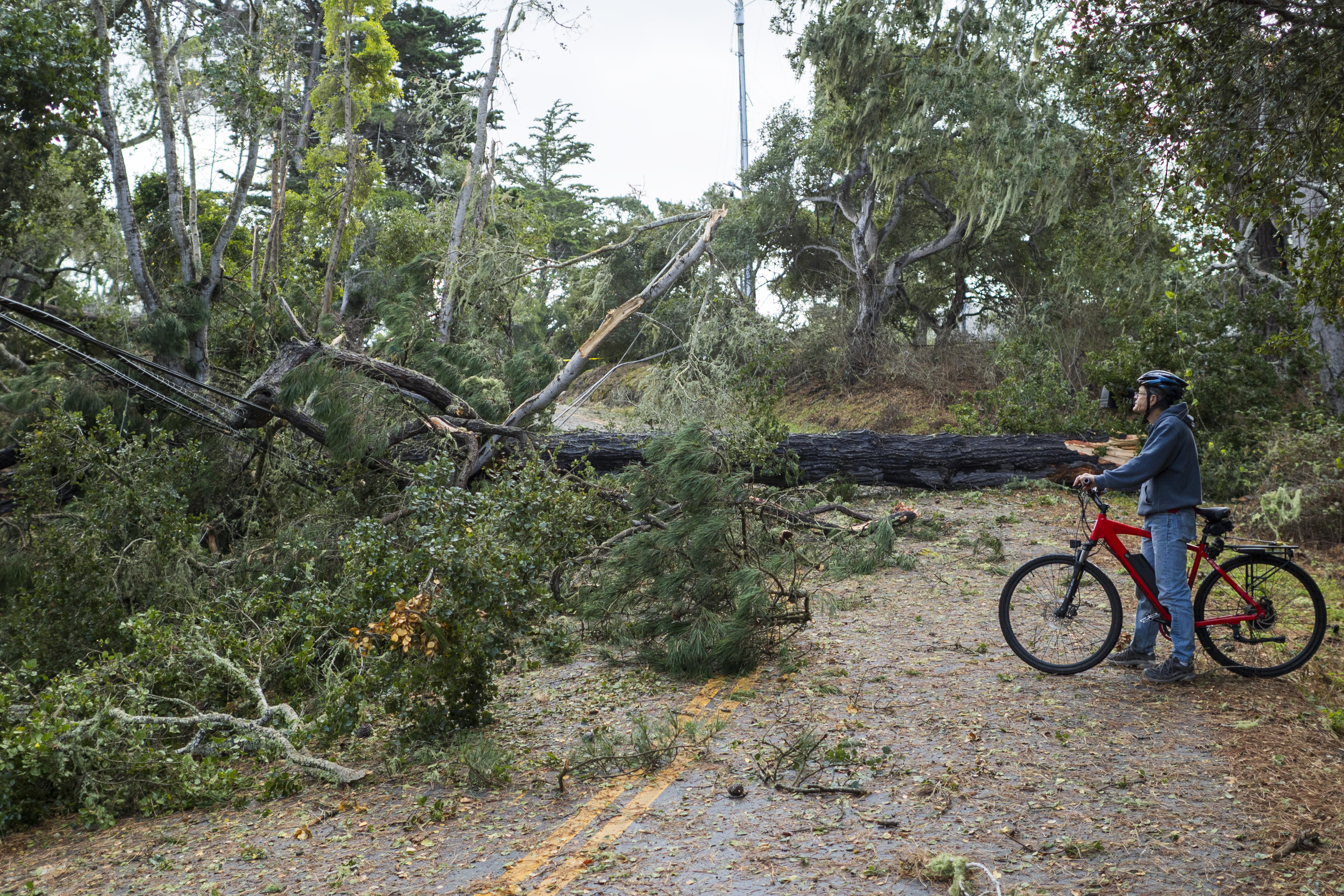 Storm generates rare tornado warning in San Francisco NBC4 Washington