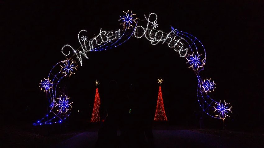 Winter Lights Festival in Gaithersburg