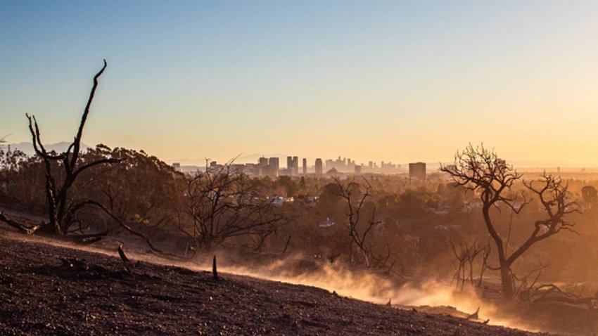 Burned trees from the Palisades Fire and dust blown by winds are seen from Will Rogers State Park, with the City of Los Angeles in the background, in the Pacific Palisades neighborhood on Jan. 15, 2025 in Los Angeles, California.