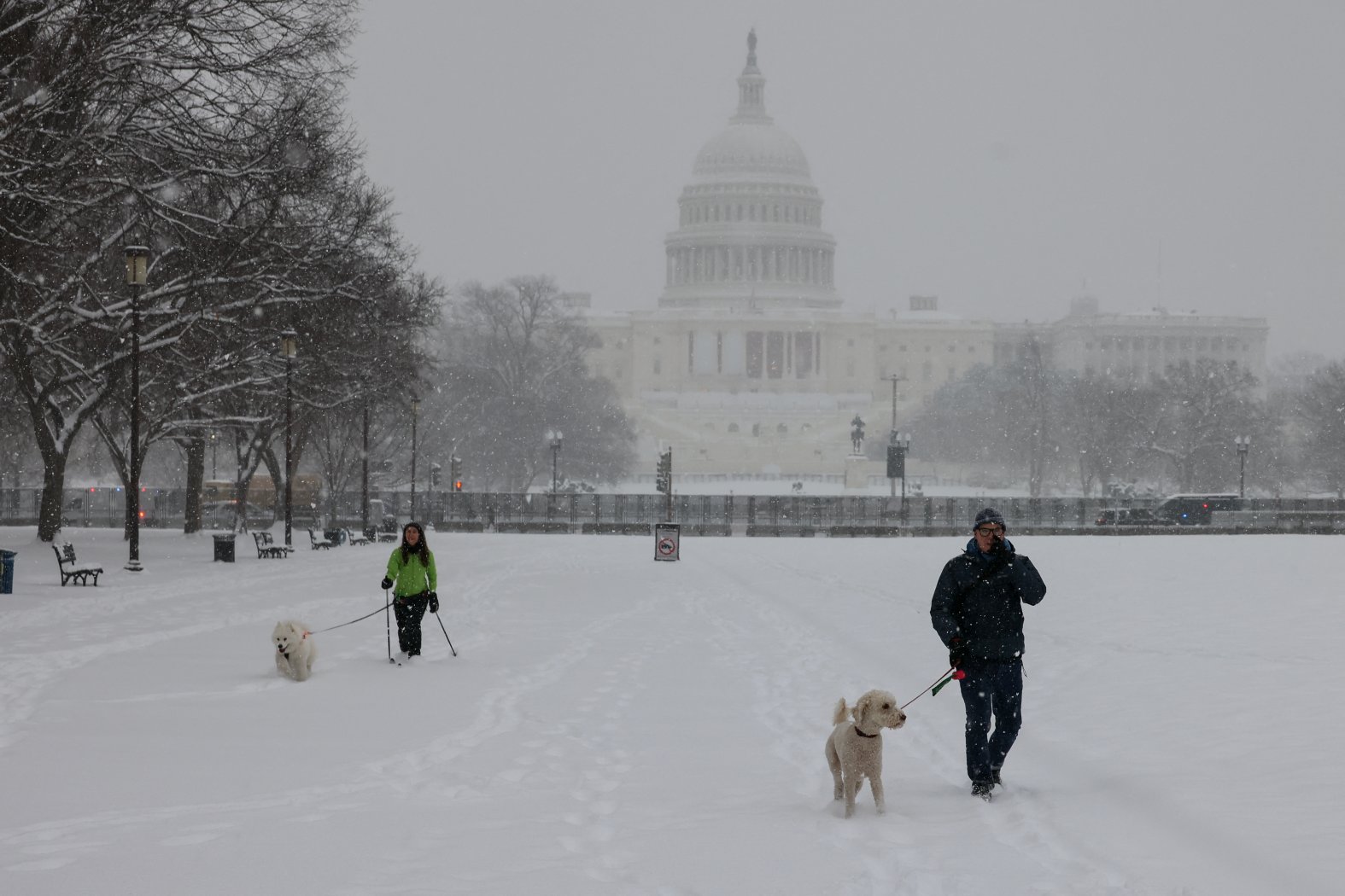 Snow Gallery PHOTOS: Winter storm blankets DC area with inches of snow – NBC4 Washington