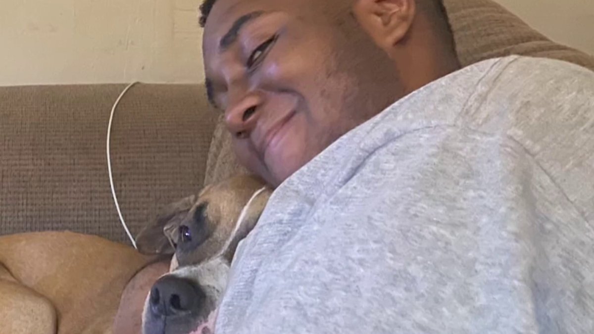Two dogs electrocuted, die in Northwest DC Two dogs electrocuted, die in Northwest DC