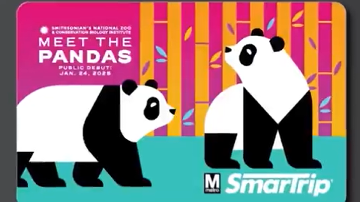 Arrive at the National Zoo in style with commemorative panda Metro cards Feature image