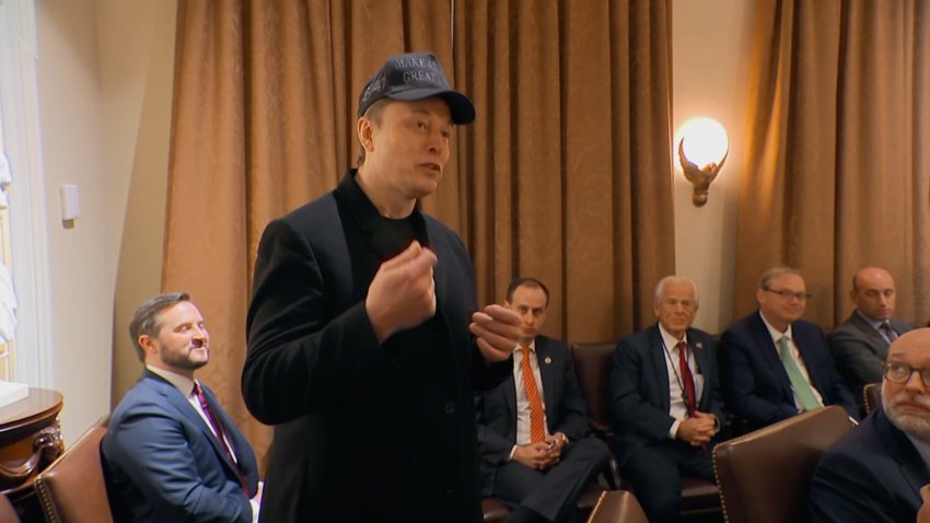 Elon Musk at cabinet meeting