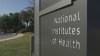 ‘Frustrating and disappointing': fired NIH worker reacts to cuts