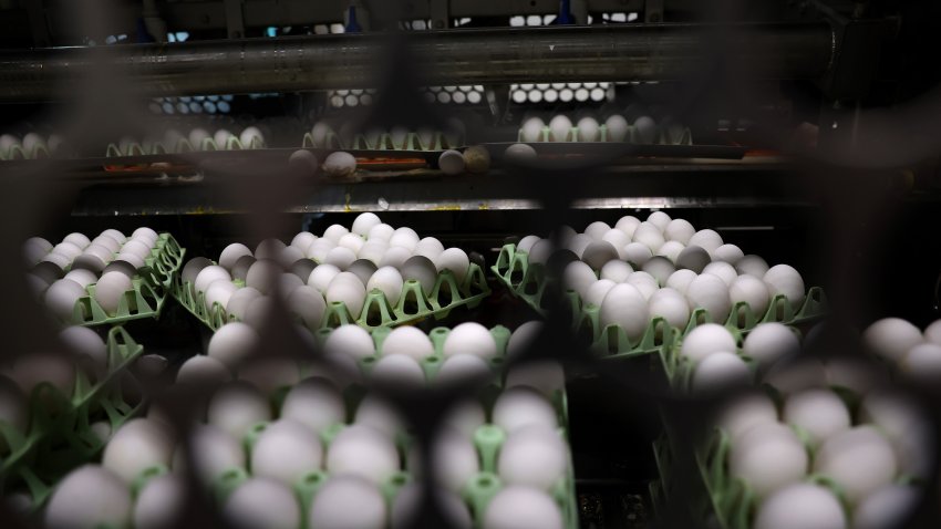 PETALUMA, CALIFORNIA - FEBRUARY 18: Eggs move on a conveyor belt at Sunrise Farms on February 18, 2025, in Petaluma, California. As egg prices continue to skyrocket due to the avian flu outbreak, egg farmers are having to invest millions of dollars in biosecurity efforts to keep their flocks safe. Fourth-generation egg farm Sunrise Farms in Petaluma, California lost 550,000 chickens to avian flu in December of 2023, marking the first time in 112 years that the main family farm had no chickens. It took Sunrise Farms over a year to rebuild their flock to 900,000 chickens that produce nearly 500,000 eggs a week.