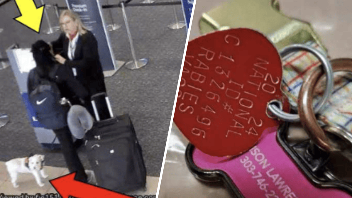 Woman accused of drowning dog in Orlando airport bathroom – NBC4 Washington