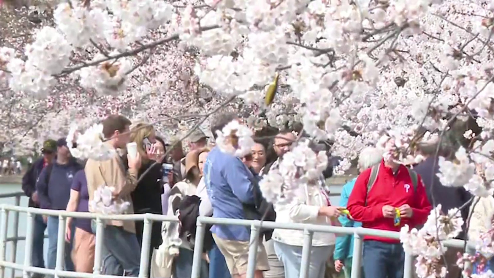 38654893102-1080pnbcstations.