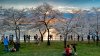 What are your weekend plans in the DMV? Our free newsletter has ideas