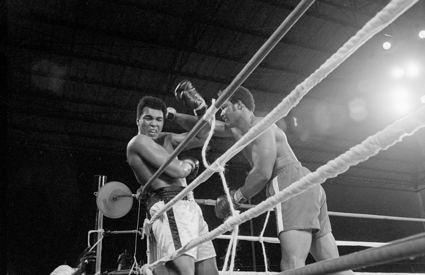 George Lizard Boxer George Foreman, heavyweight boxing champion, dies at 76 – NBC4 Washington