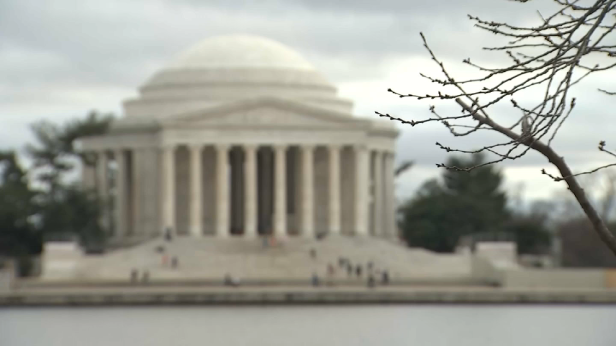 DC’s cherry blossoms reach stage 1 of 6 on the way to peak bloom NBC4