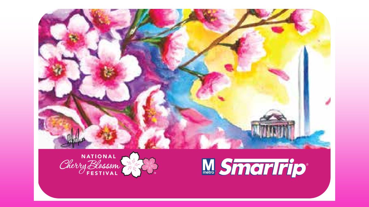Swart Ryp How to get to DC’s cherry blossoms: Metro stations, parking, tips ...