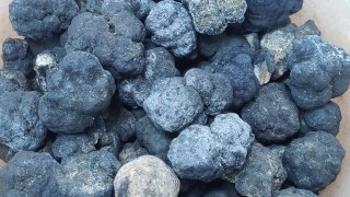 Critical minerals such as cobalt, nickel, copper and manganese can be found in potato-sized nodules at the bottom of the seafloor.