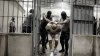 Legal fight raging over possible imminent deportations to El Salvador
