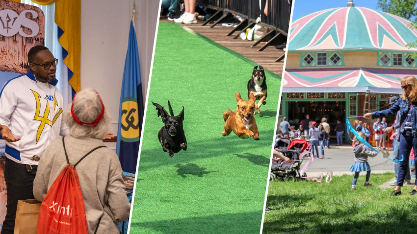 This weekend, check out the Around the World Embassy Tour, the Running of the Chihuahuas or Carousel Day.