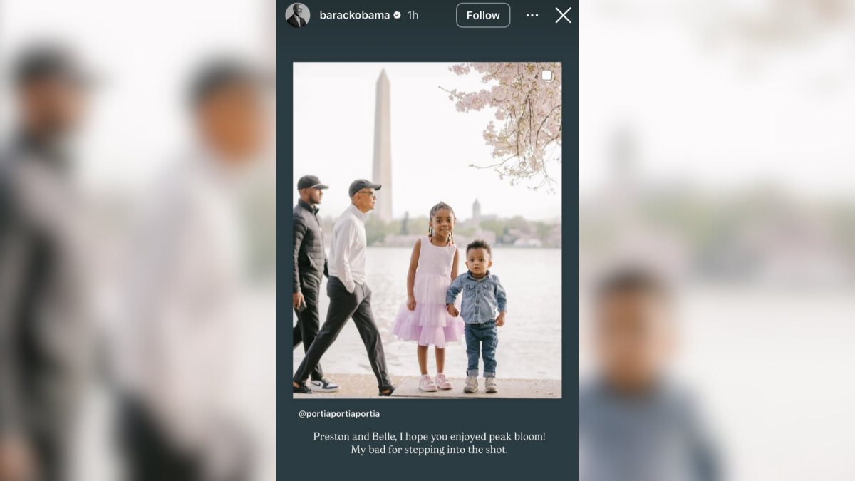 Obama photobombs family snapping DC cherry blossom pics – NBC4 Washington