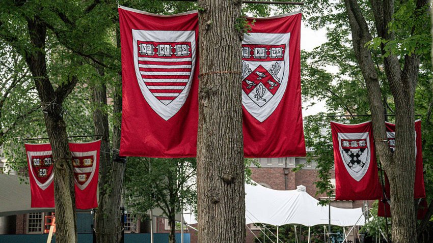 A glimpse into the Harvard University campus on May 24, 2025 in Cambridge, Massachusetts.