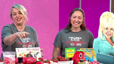 Strawberry picking season at Lincoln Strawberry Festival in Virginia