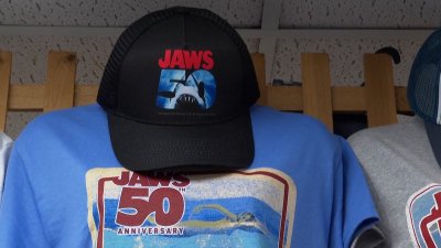 Man aims to become first person to swim around Martha's Vineyard on 50th anniversary of ‘Jaws'