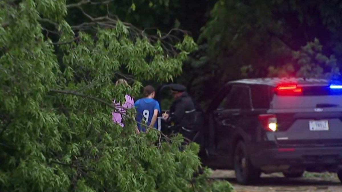 2 killed by trees falling on cars in Northern Virginia – NBC4 Washington