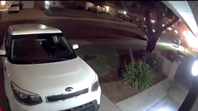 Children stepped in to help wake people up after private jet crash, neighbor says