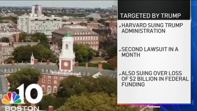 Judge blocks Harvard's foreign student ban, reaction on campus