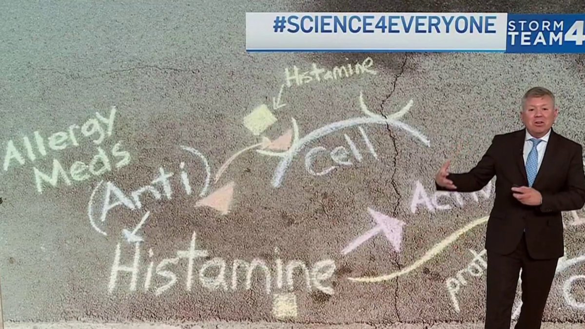 Science 4 Everyone: How does allergy medicine work to relieve symptoms?
