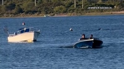 20-foot basking shark spotted off coast of Rhode Island