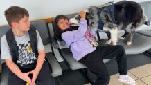 Hercules greets a passenger Thursday, May 15, 2025, at West Virginia International Yeager Airport, where he is used to keep birds and other wildlife away from the airfield, in Charleston, W.Va. (AP Photo/John Raby)