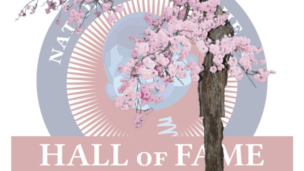 National Bobblehead Hall of Fame now offering Stumpy bobble tree – NBC4 ...