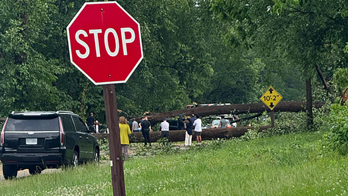 2 killed by falling trees in Northern Virginia