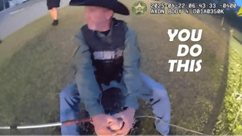 Dramatic video shows how authorities in Manatee County wrangled and “expelled” an alligator from a high school campus—in style.