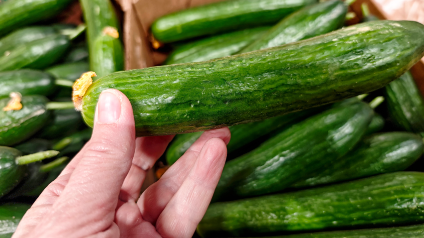 Hand holds cucumber in grocery store
