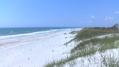 North Carolina officials offering reward for person who decapitated sick dolphin
