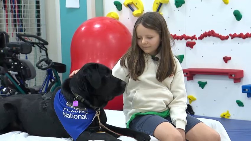 Charlotte Stinebiser, 9, pets Tux, a full-time employee at Children’s National Hospital.