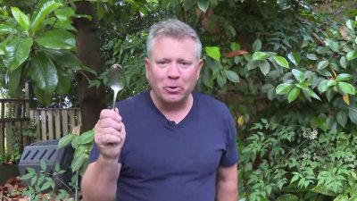 Science 4 Everyone: It's time to prep for mosquito season