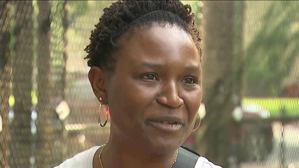 Tourists Navigate Fencing And Road Closures Ahead Of Military Parade