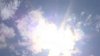 Heat alerts have been activated for DC. Here's how to stay safe