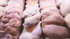 Food safety: How to avoid salmonella as feds back away from a poultry regulation