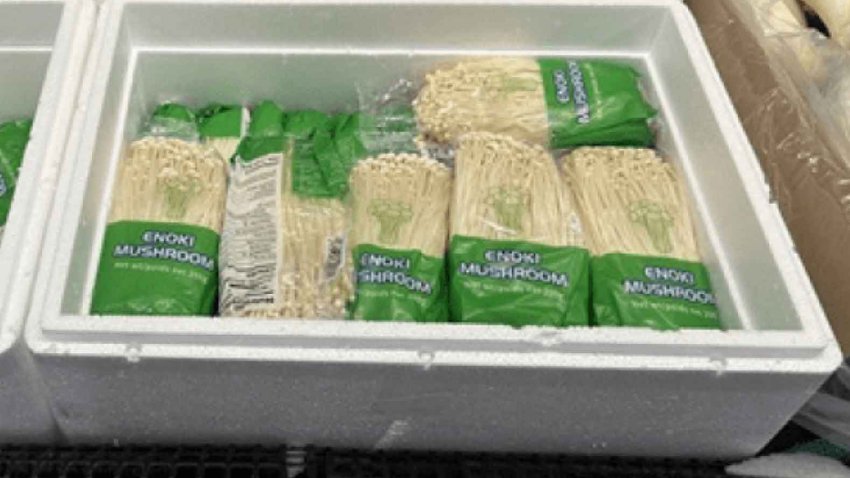 Enoki mushrooms