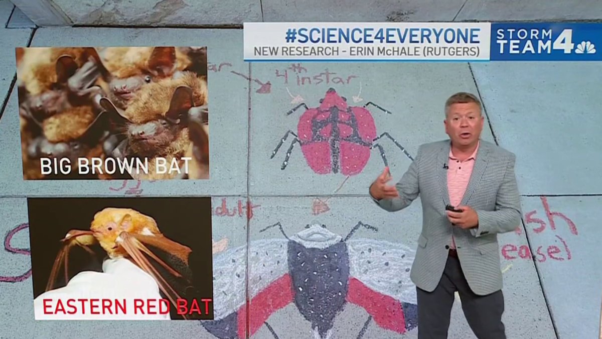 How a certain animal is getting rid of spotted lanternflies