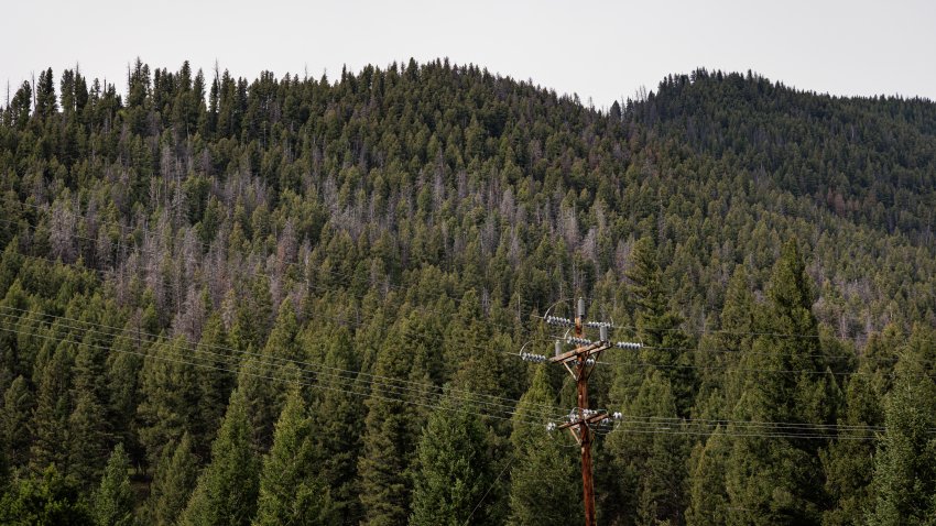 Montana