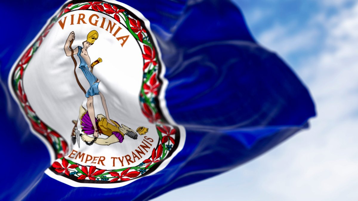 Virginia redistricting election will go forward while court considers appeal