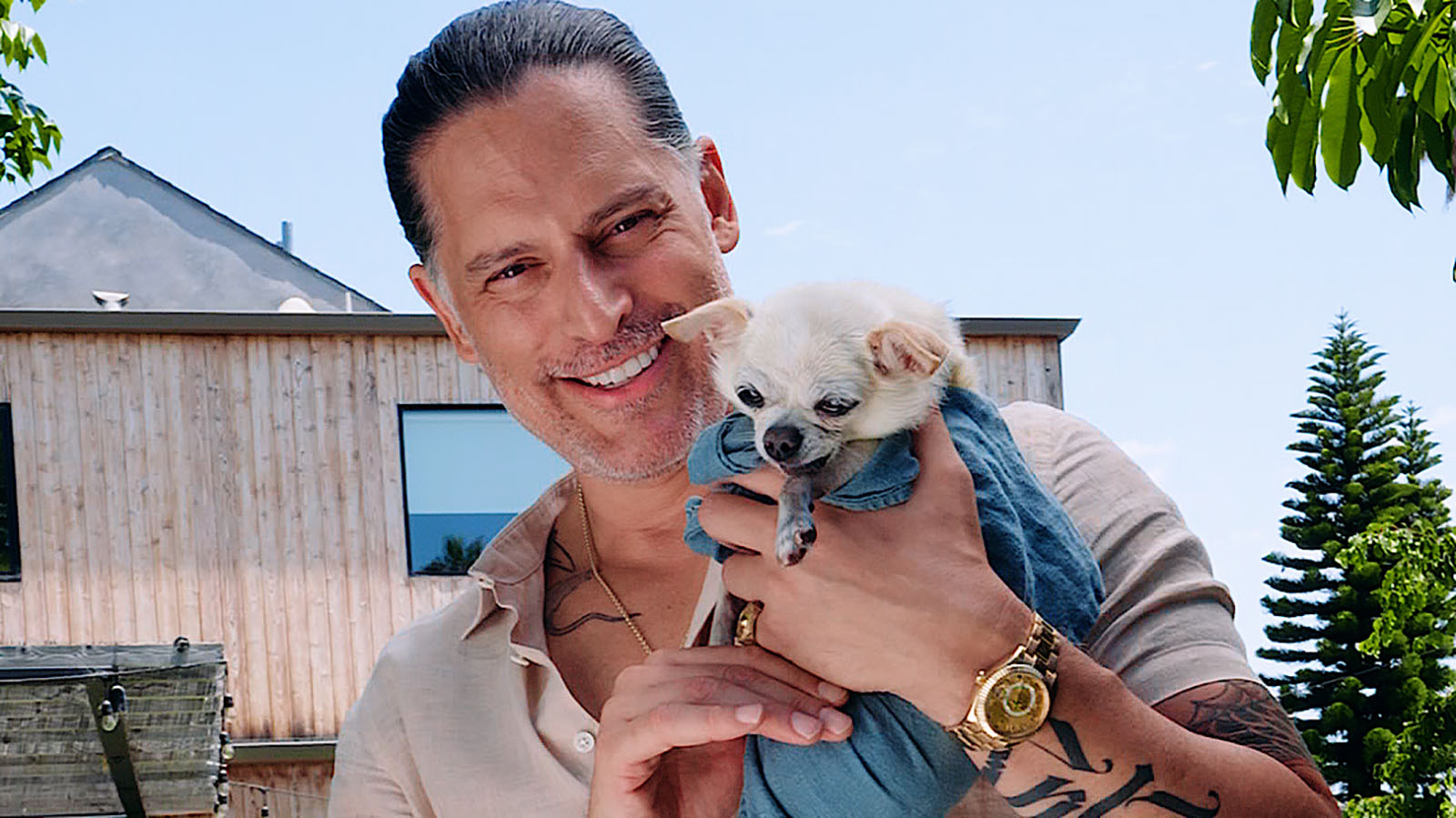 Joe Manganiello to host NBC’s 2025 Clear The Shelters TV special – NBC4 ...