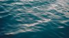 18-year-old drowns in Potomac after going for swim with friends